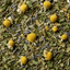 Herbal Sleep Blend