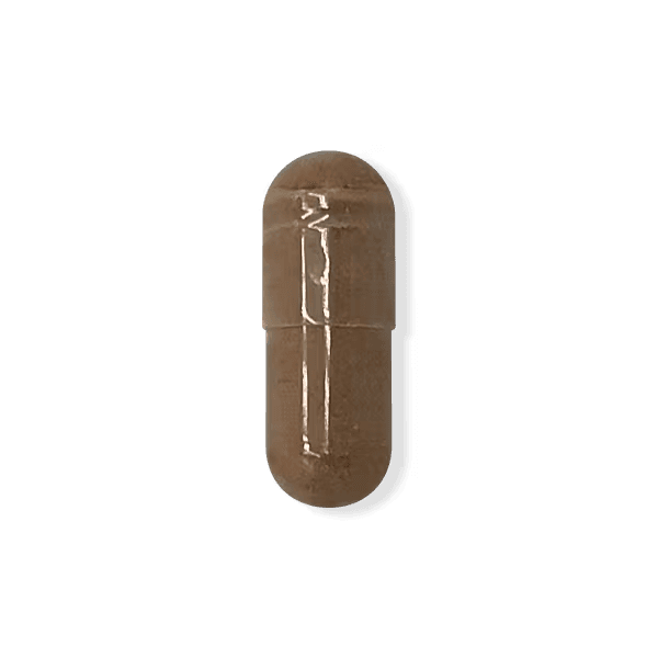 Rhodiola