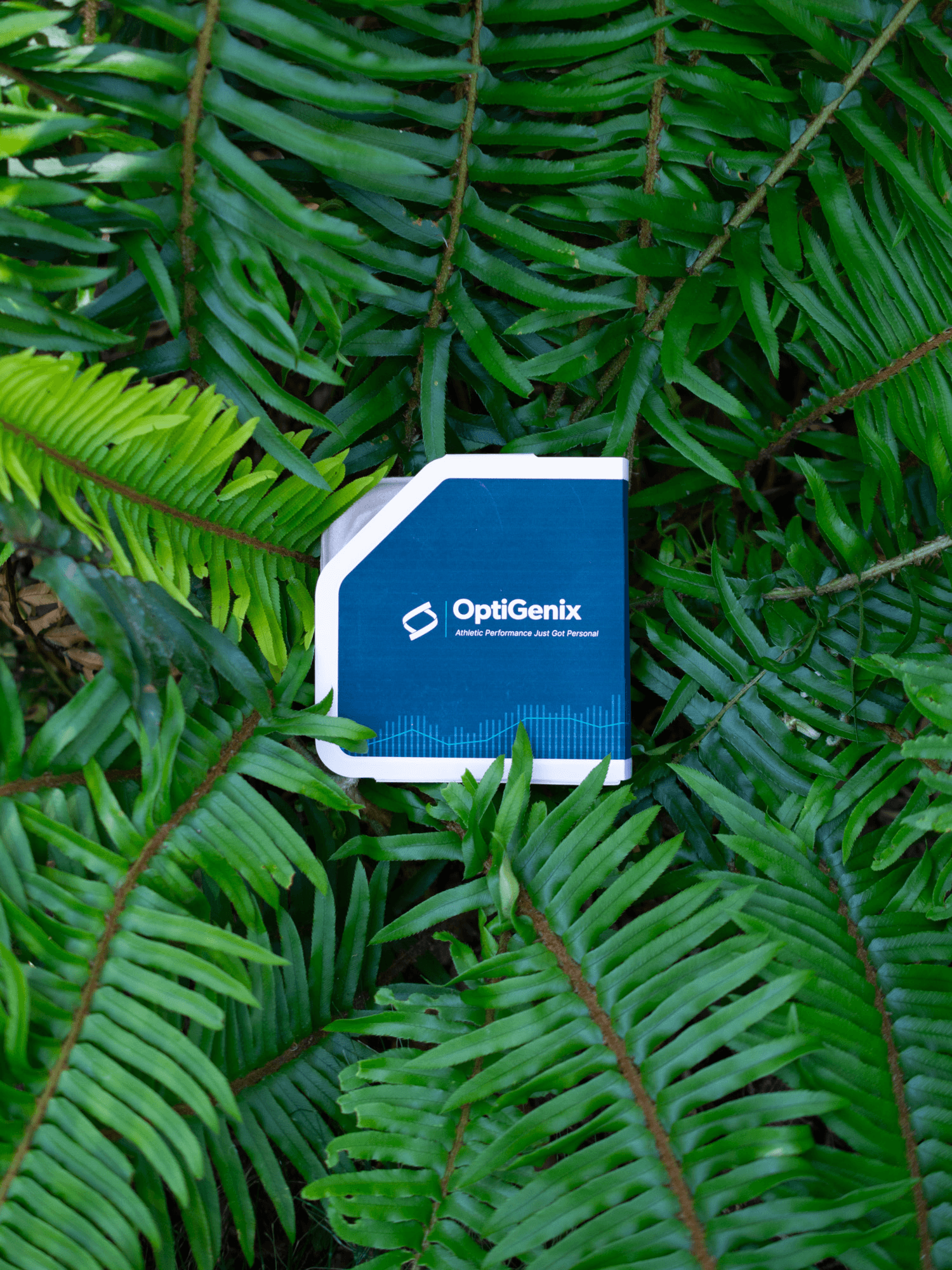 Focus QuickPack™ - Main view